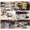 Image 2 : 14 Real Photo Fishing Exaggeration Postcards