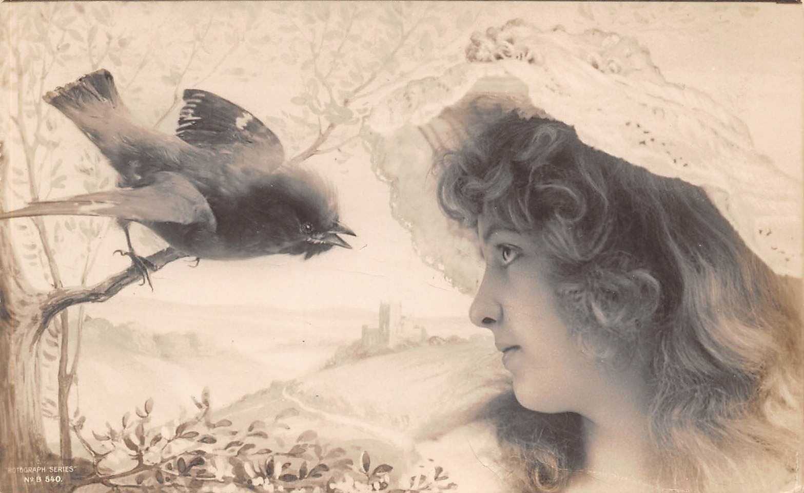 Rotograph Example Set of 6 Rotograph Real Photo Ladies & Birds Postcards