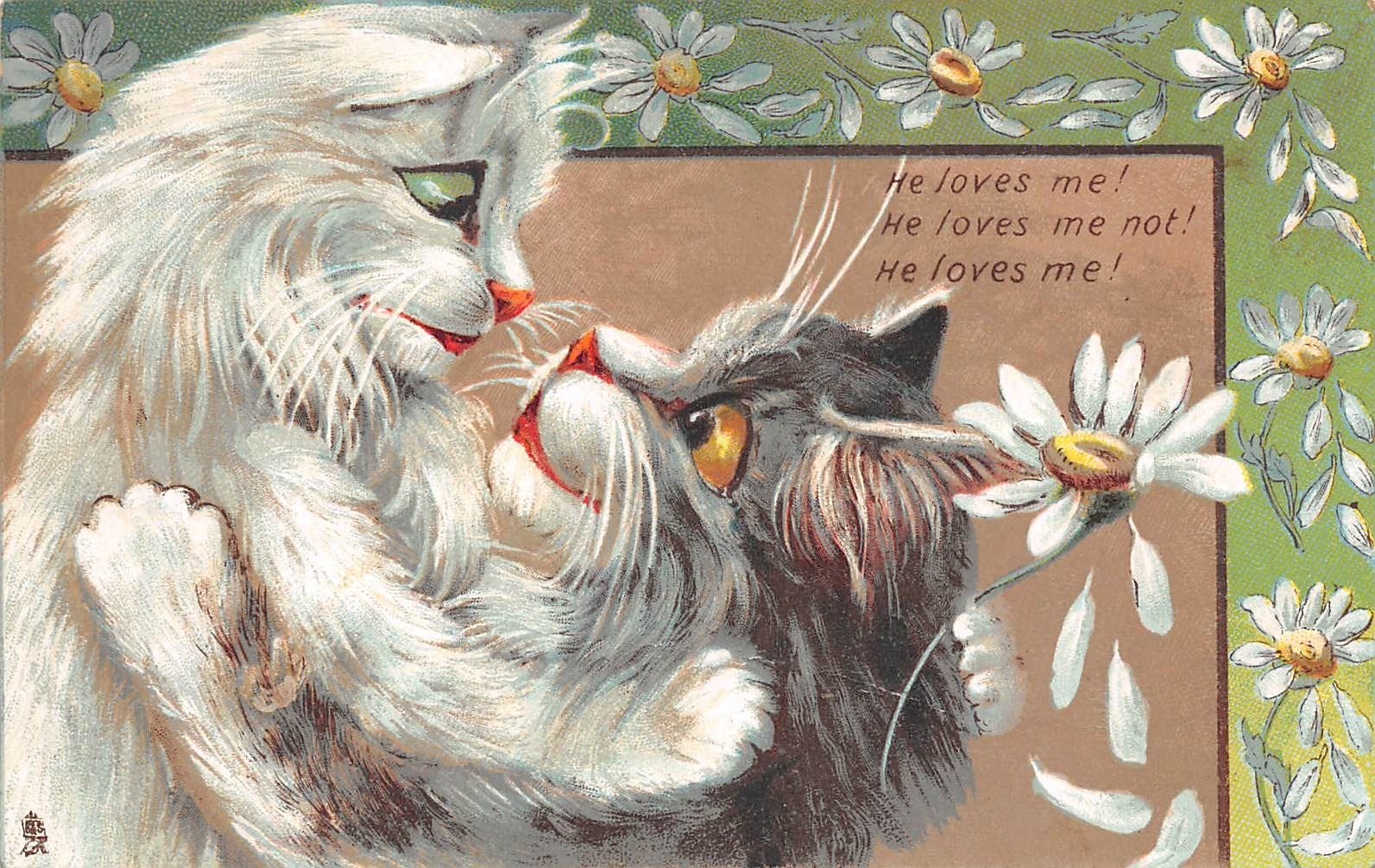 PC CATS DOGS ARTIST SIGNED MORGAN HUMOR VINTAGE POSTCARD (b61706 PC CATS DOGS ARTIST SIGNED MORGAN HUMOR VINTAGE POSTCARD (b61706