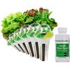 Image 1 : NEW AEROGARDEN HEIRLOOM SALAD GREENS SEED POD