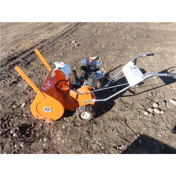 MTD snowblower tecumsen engine