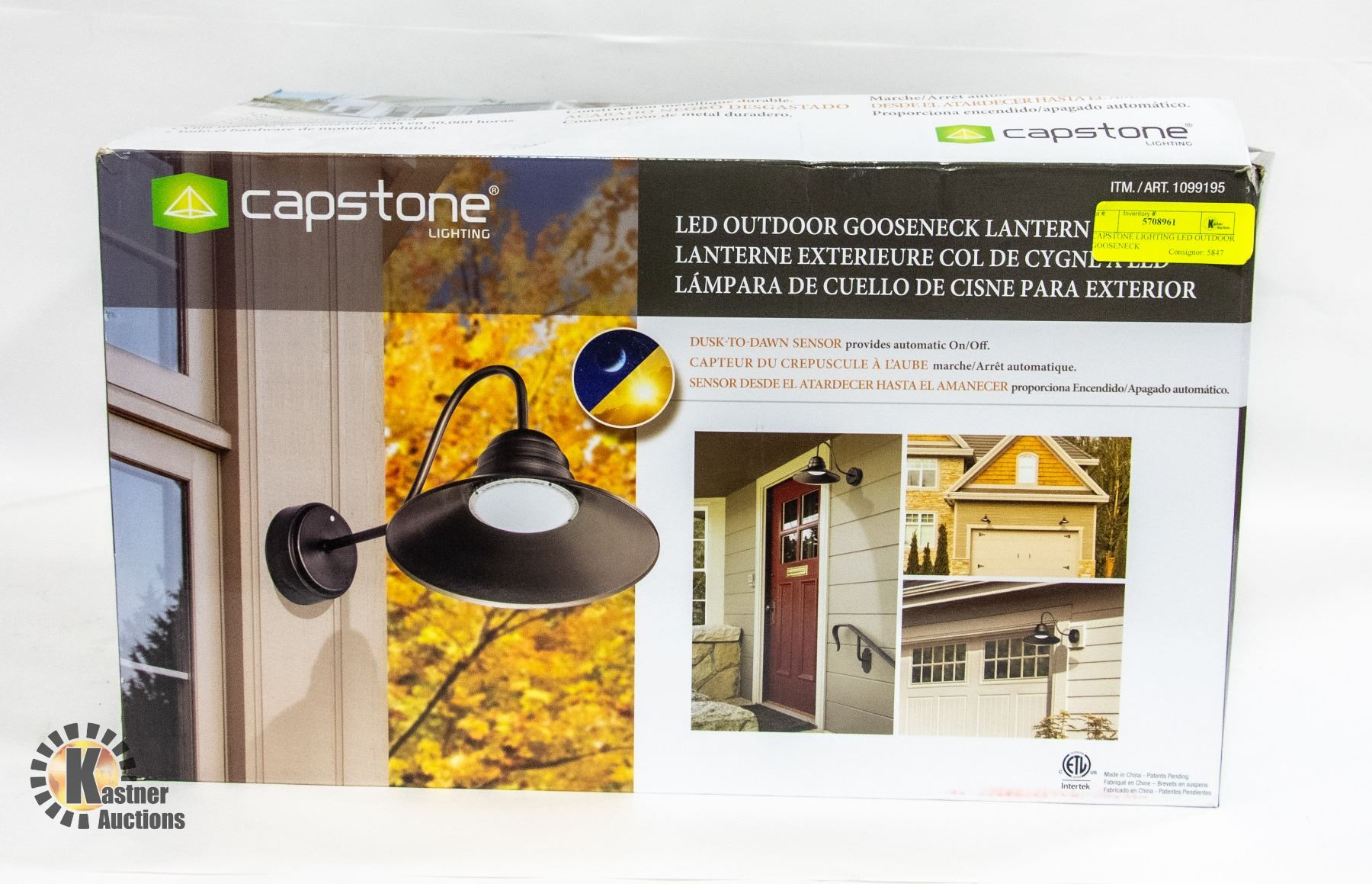 CAPSTONE LIGHTING LED OUTDOOR GOOSENECK