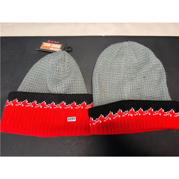 Lot of 2 Super Mario Bros Toques/Beanies