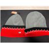 Image 1 : Lot of 2 Super Mario Bros Toques/Beanies