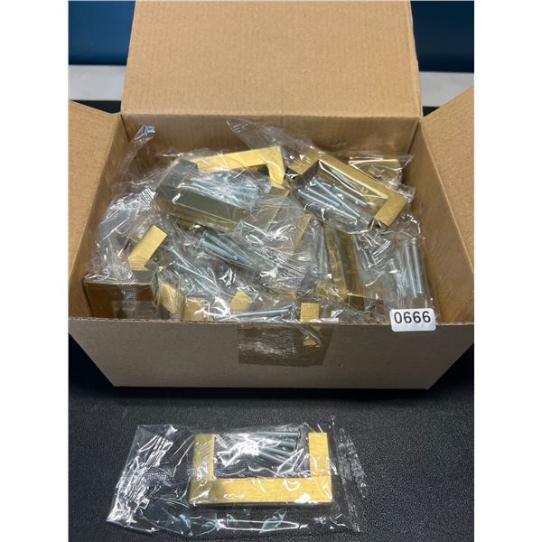 Lot of 1 Box of Drawer/Cabinet Door Handles - Gold