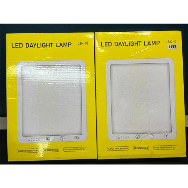 Lot of 2 LED Daylight Lamps