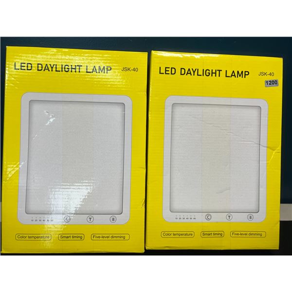 Lot of 2 LED Daylight Lamps