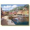 Image 1 : Harbor at Portofino by Sam Park