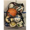 Image 1 : Bag of approx 10 soccer balls