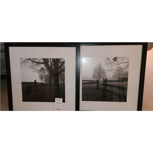 Framed Photography