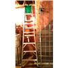 Image 1 : Ladder, Metal Shelving Unit