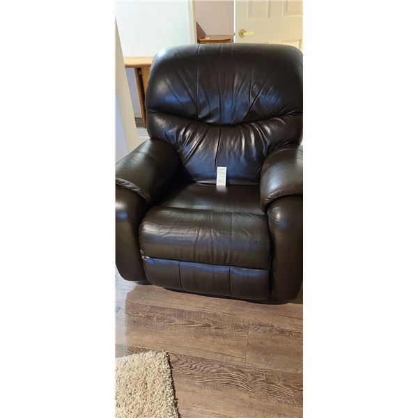 Lazy Boy Recliner Cat B