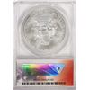 Image 2 : 2013-W Burnished $1 American Silver Eagle Coin ANACS SP70