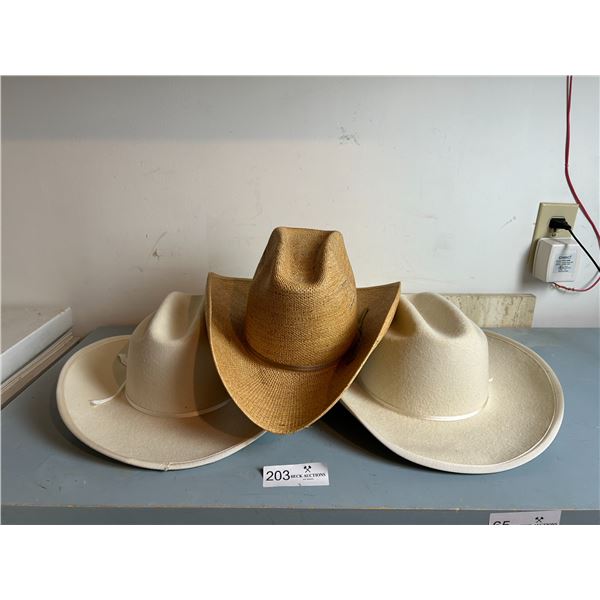 3 Cowboy Hats