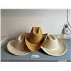 Image 1 : 3 Cowboy Hats