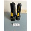 Image 1 : 2 Everready Flashlights