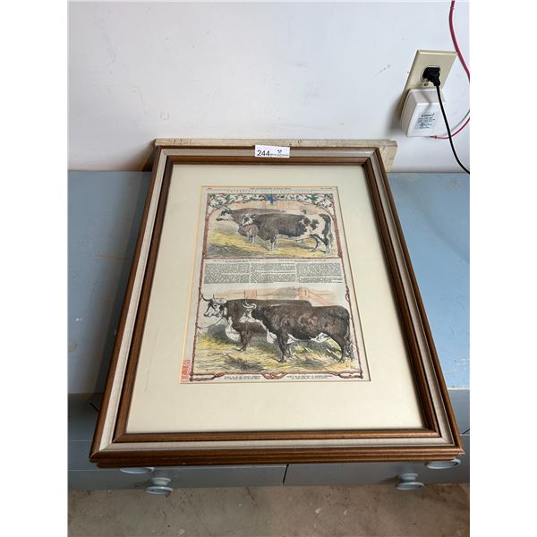 Smith Field Club Prize Cattle 1853 Issue 17x22