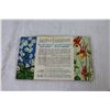 Image 5 : (3) Red Rose Blue RibbonTea - Collectable Card Books - Tropical Birds