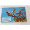 Image 7 : (3) Red Rose Blue RibbonTea - Collectable Card Books - Tropical Birds