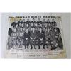 Image 4 : 1960-61 Chicago Black Hawks Glossy Team Photo (some staining)