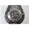 Image 3 : Special Police Tin Badge