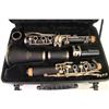 Image 2 : Clarinet CB217 Roy Benson with Case