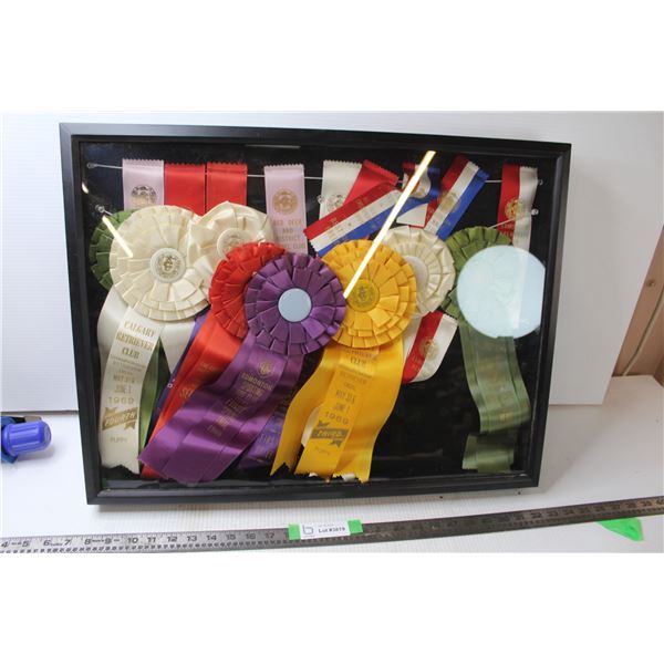 Framed Retriever Dog Club 1969 Awards and Ribbons