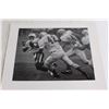 Image 6 : (4) College Football Glossy Photos and (1) College Basketball Glossy Photo - 8" x 10"