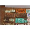 Image 2 : (25) Assorted License Plates