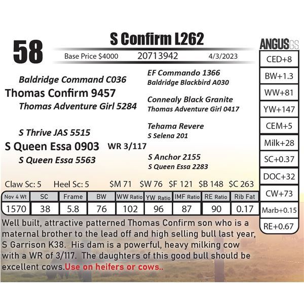 S Confirm L262