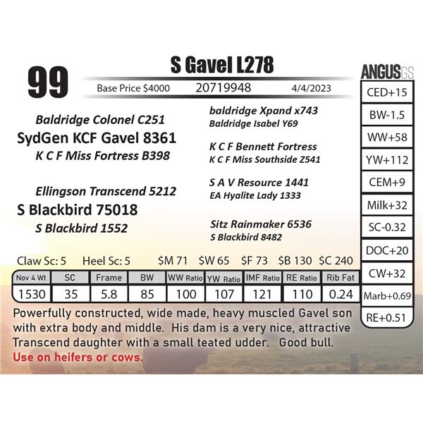 S Gavel L278