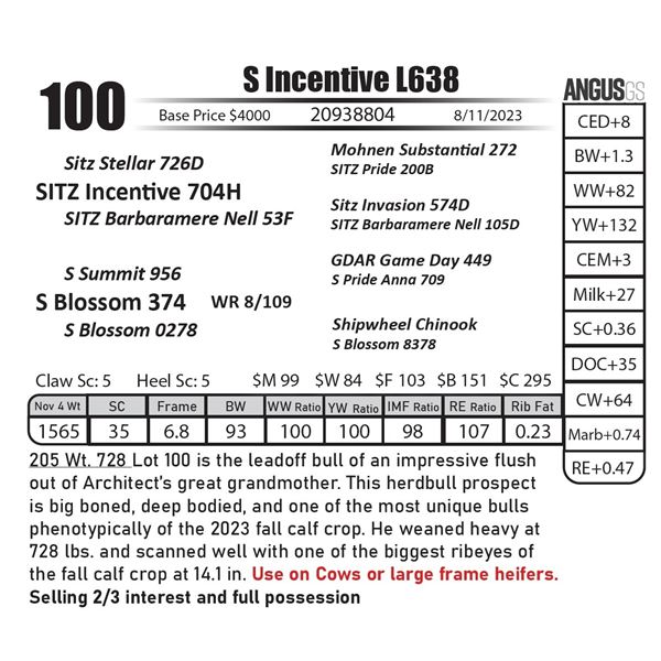 S Incentive L638