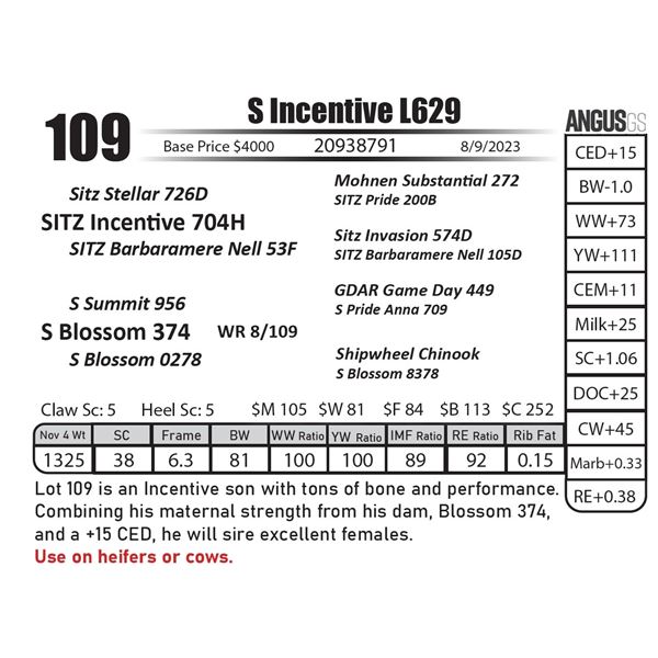 S Incentive L629
