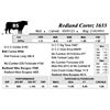 Image 1 : Redland Angus Lot 85
