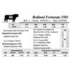 Image 1 : Redland Angus Lot 86