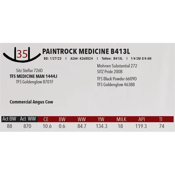 PAINTROCK MEDICINE B413L