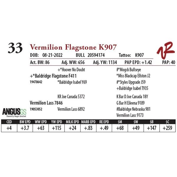 VERMILION FLAGSTONE K907