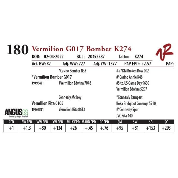 VERMILION G017 BOMBER K274