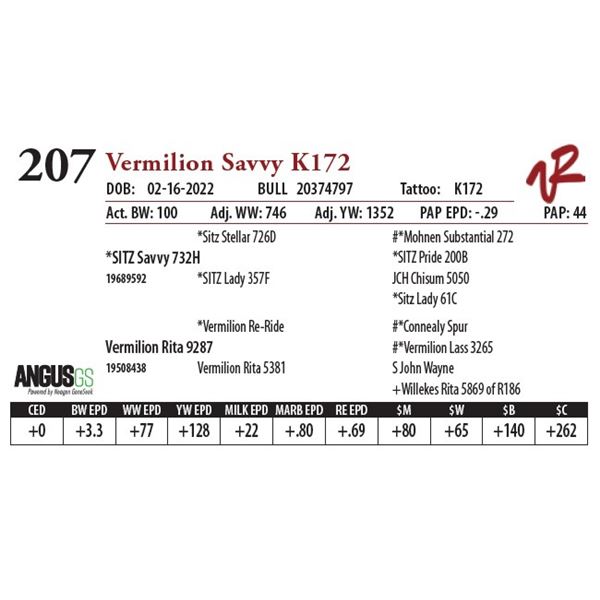 VERMILION SAVVY K172