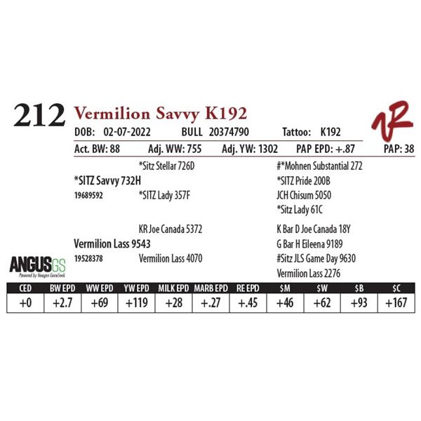 VERMILION SAVVY K192