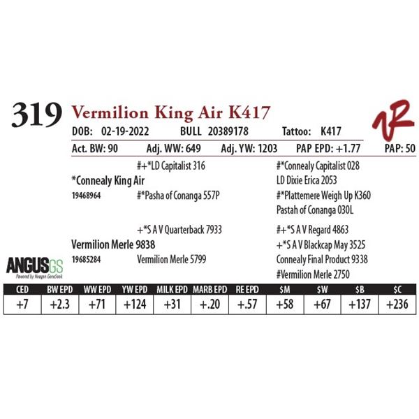 VERMILION KING AIR K417