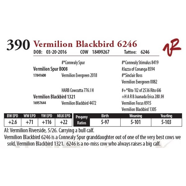 VERMILION BLACKBIRD 6246