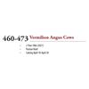 Image 1 : LOTS: 460-473 - 2 YR OLD VERMILION ANGUS COWS