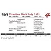 Image 1 : VERMILION BLACK LADY 2522