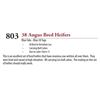 Image 1 : 36 ANGUS BRED HEIFERS