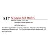 Image 1 : 46 ANGUS BRED HEIFERS