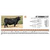 Image 1 : HT Showman 3137