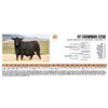 Image 1 : HT Showman 3258