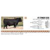 Image 1 : HT Stinger 3335