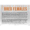 Image 1 : Bred Commercial Heifers